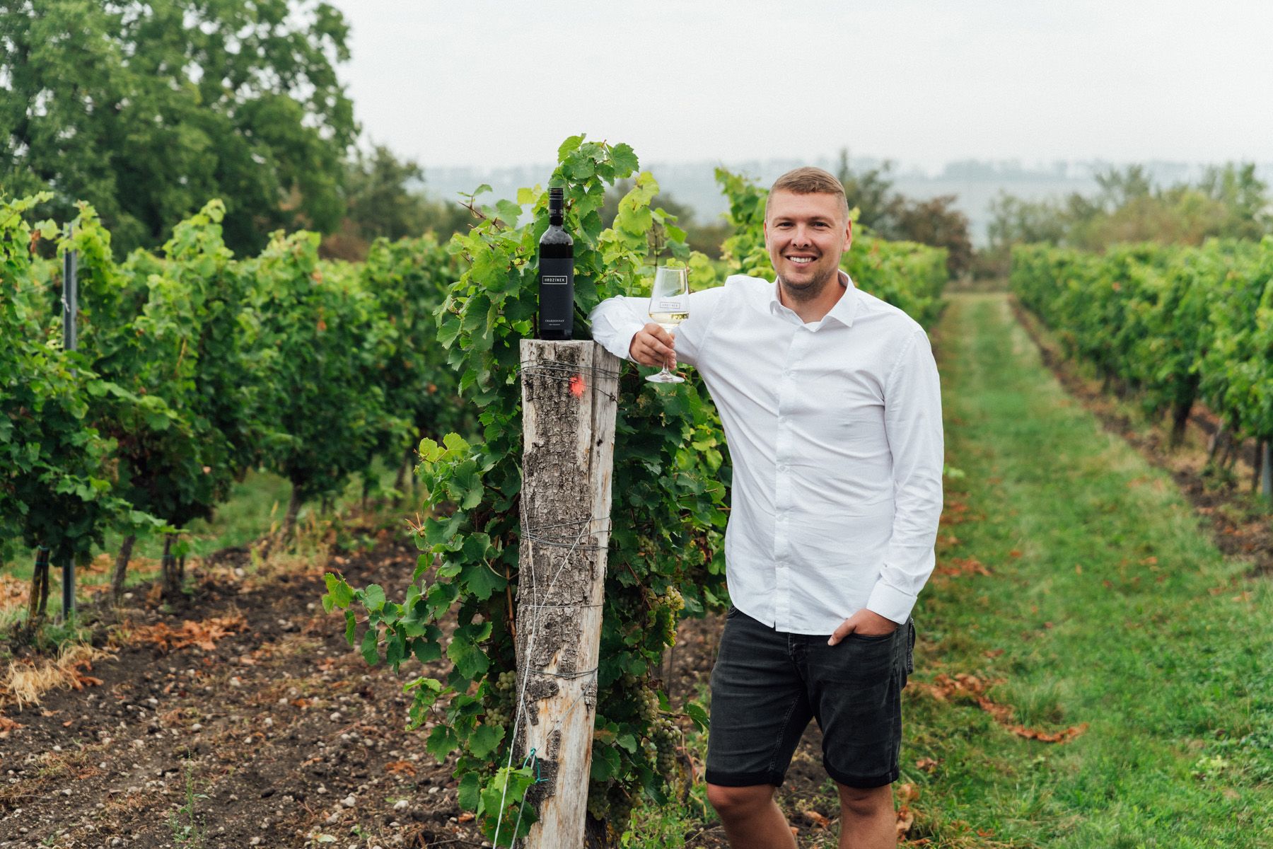 Vinařství Hrozínek - voňavé víno plné moravské chuti
